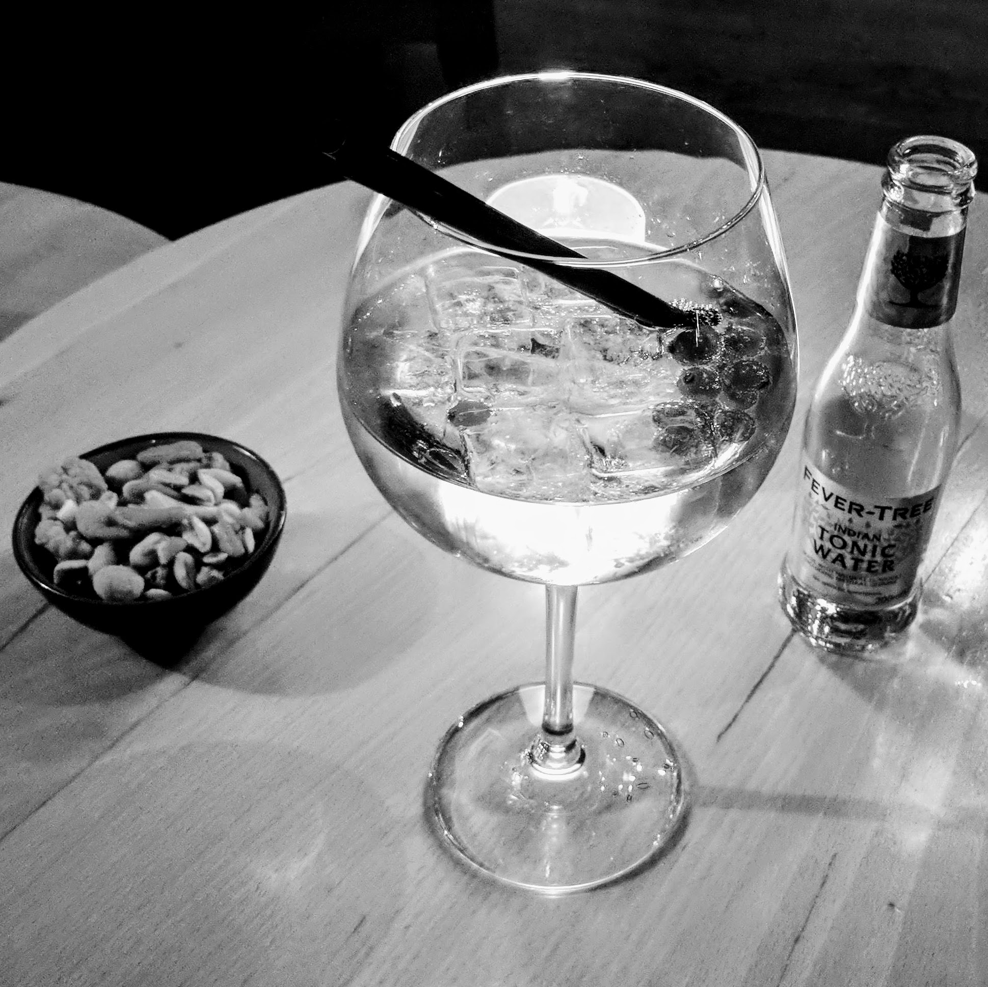 Gin Tonic nerdpause